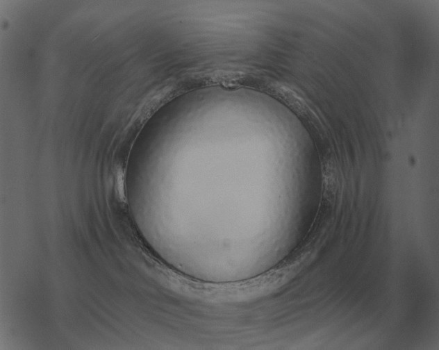 X0000077410046200611032102