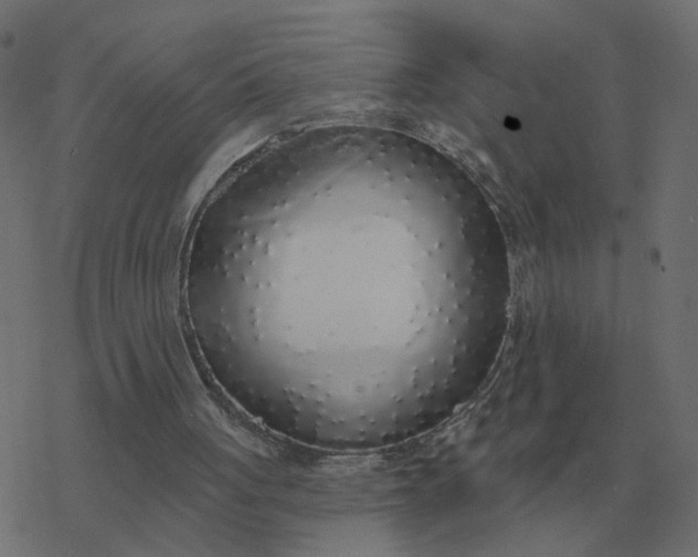 X0000077410051200611032101