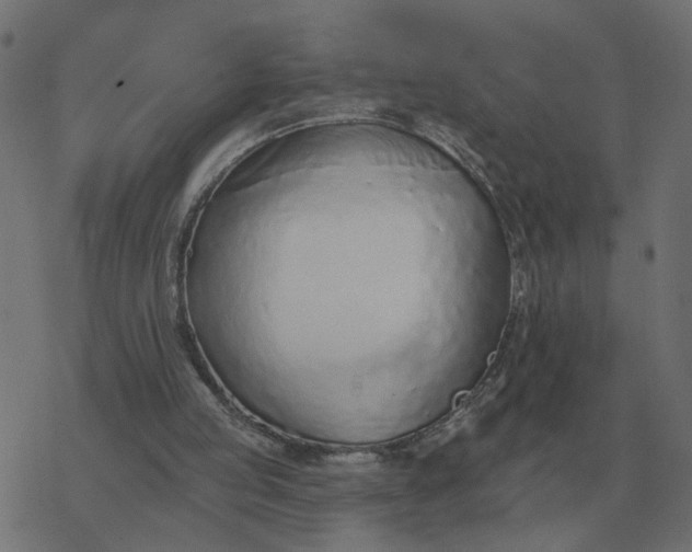 X0000077410053200611032101