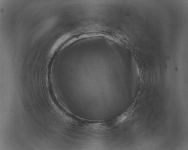 X0000077410054200611032102