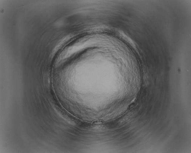 X0000077410059200611032102