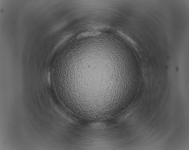 X0000077410067200611032102
