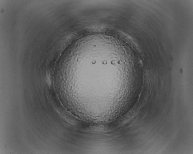 X0000077410069200611032102