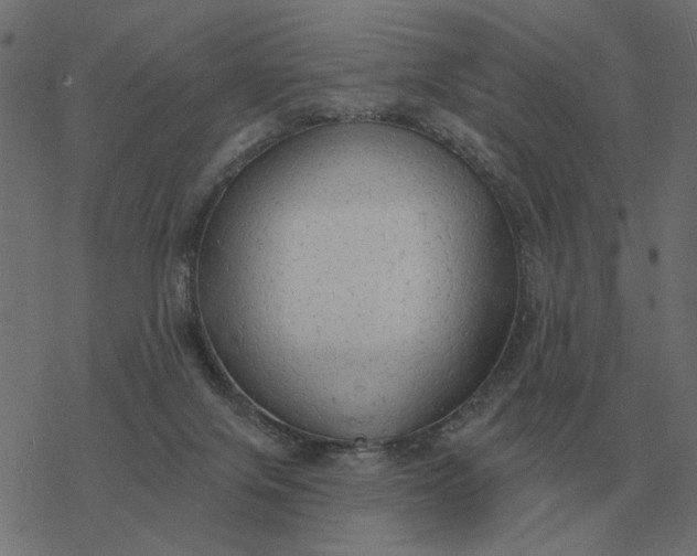 X0000077410071200611032102