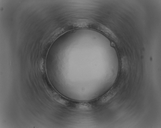 X0000077410073200611032102