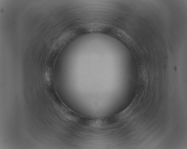 X0000077410074200611032102