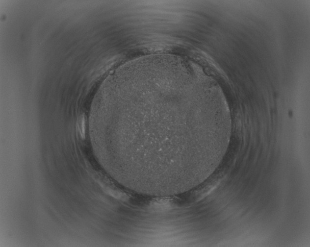 X0000077410076200611032102