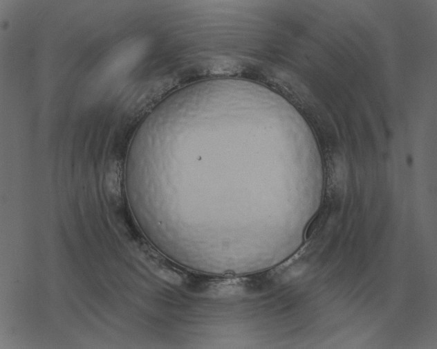 X0000077410078200611032102