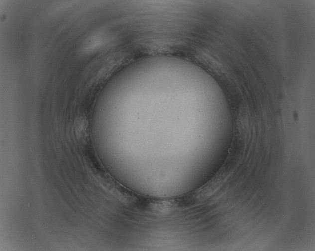 X0000077410079200611032102
