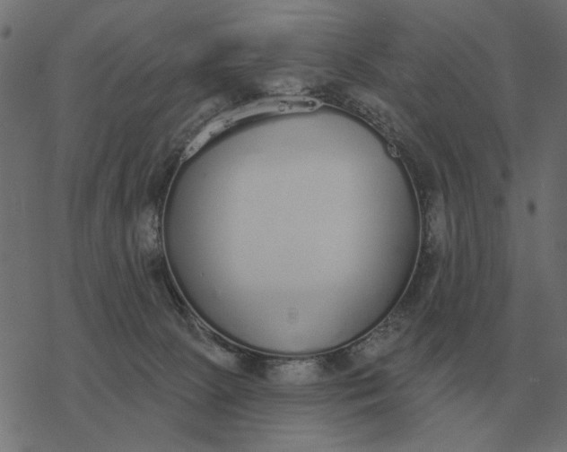 X0000077410081200611032102