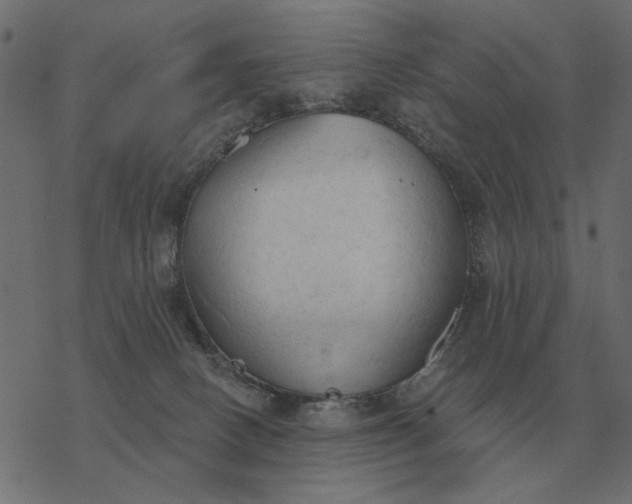 X0000077410082200611032102