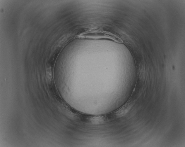 X0000077410085200611032102