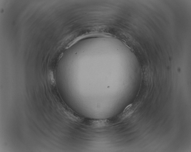 X0000077410089200611032102