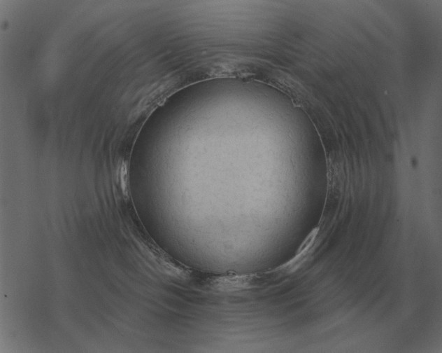 X0000077410094200611032102