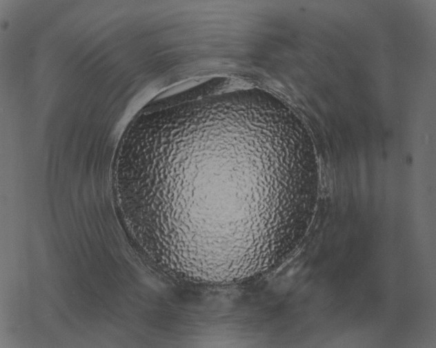 X0000077410099200611032101