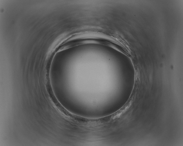 X0000077410101200611032101
