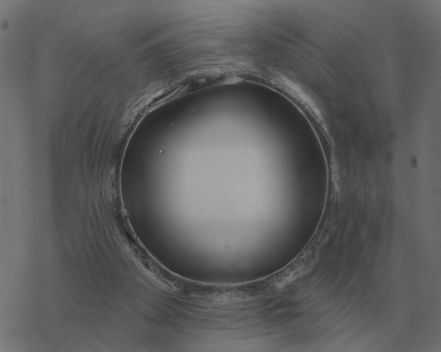 X0000077410105200611032101
