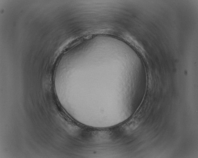 X0000077410107200611032101