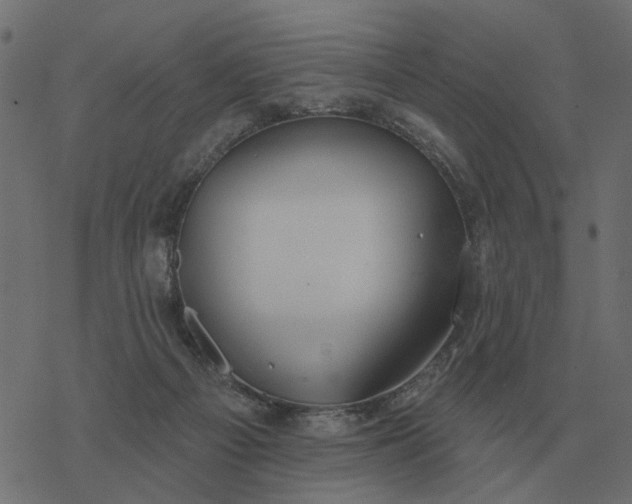 X0000077410121200611032101