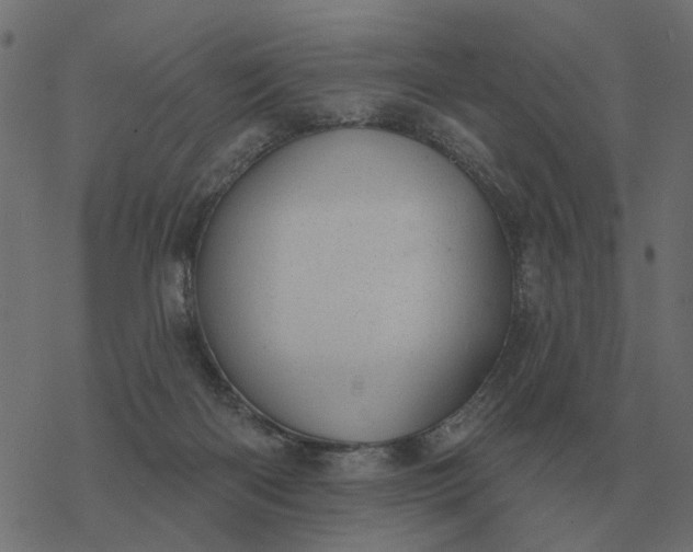 X0000077410122200611032101
