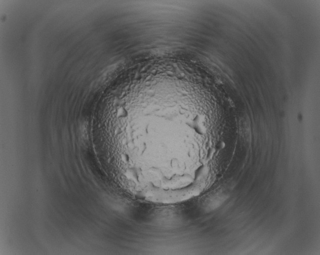 X0000077410127200611032101