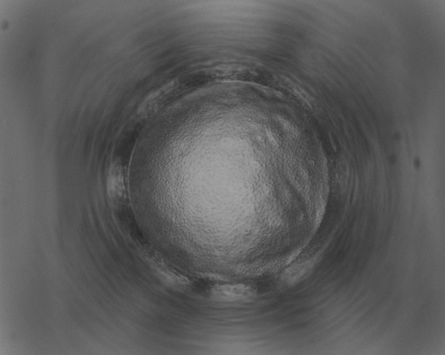 X0000077410137200611032101