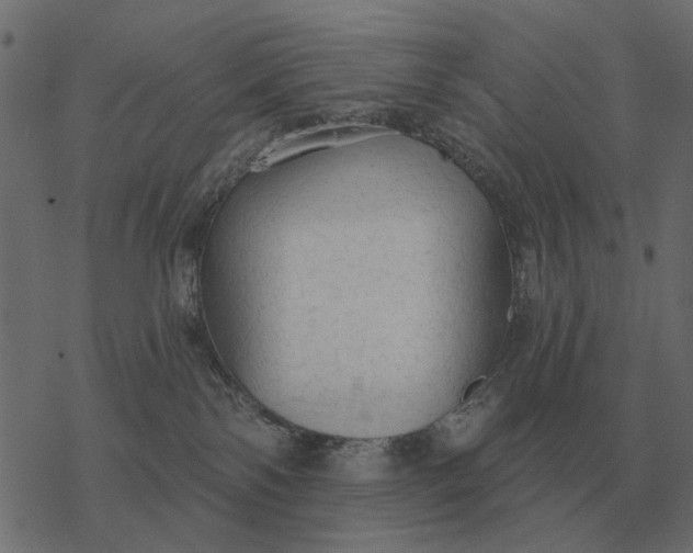 X0000077410138200611032101