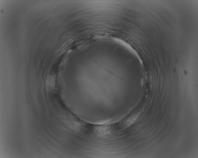X0000077410139200611032101