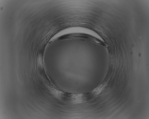 X0000077410143200611032101