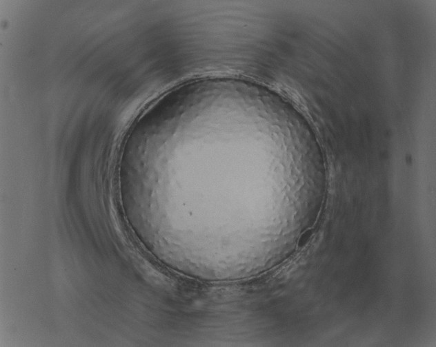 X0000077410145200611032100