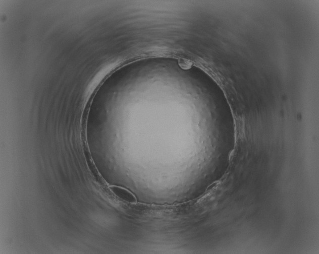 X0000077410147200611032100