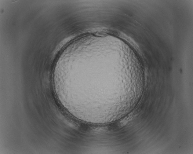 X0000077410155200611032100