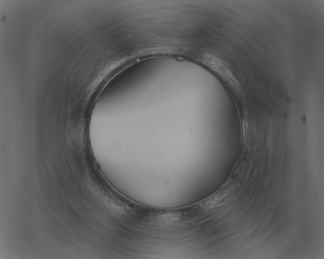X0000077410156200611032100