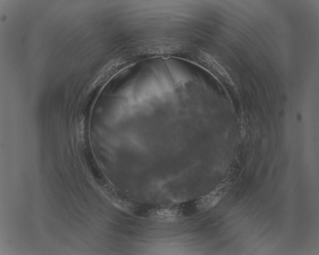 X0000077410163200611032100