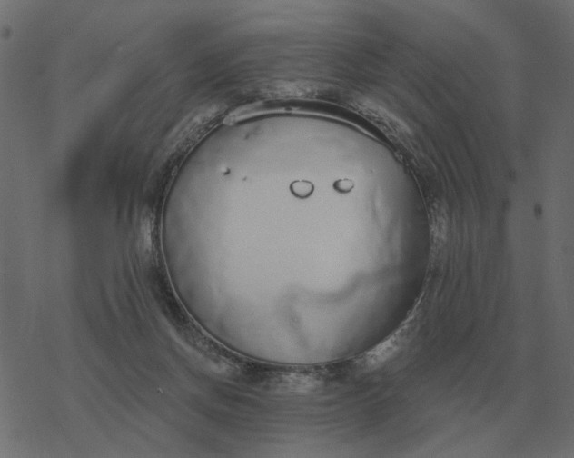 X0000077410166200611032100