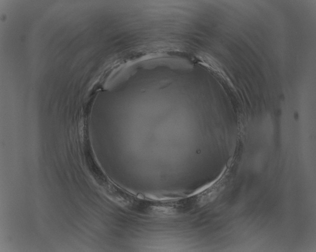 X0000077410167200611032100