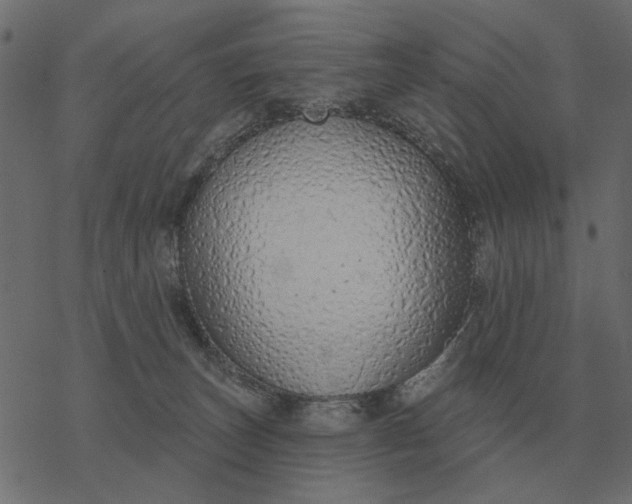 X0000077410179200611032100