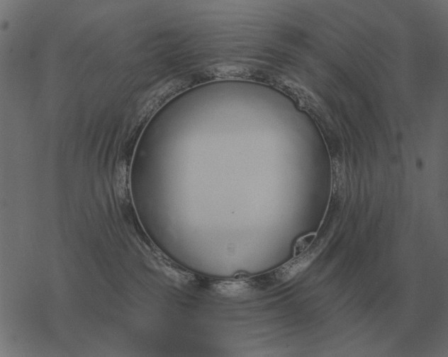 X0000077410189200611032101