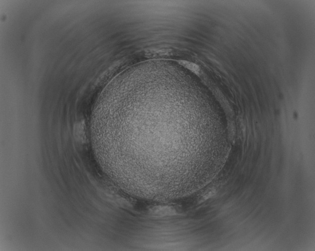 X0000077410224200611032059