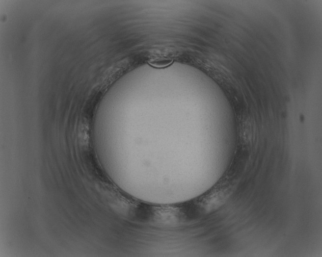 X0000077410226200611032059