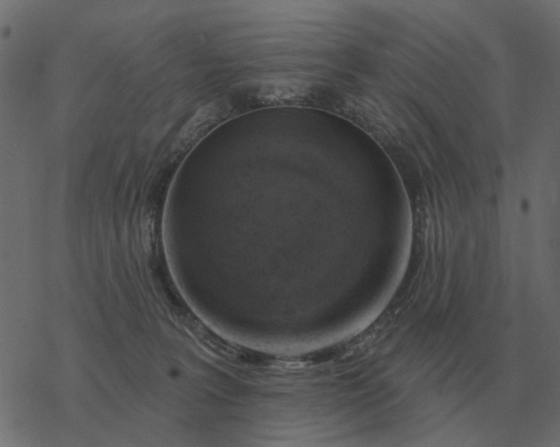 X0000077410227200611032059
