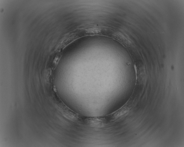 X0000077410229200611032059