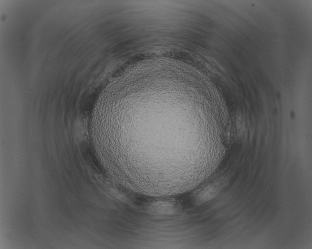 X0000077410236200611032059