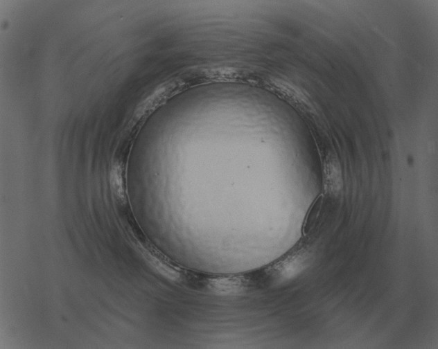X0000077410238200611032059