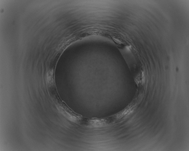 X0000077410239200611032059