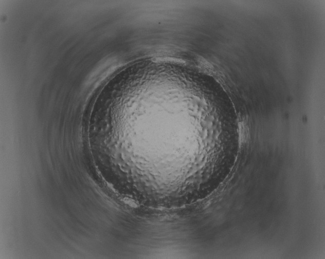 X0000077410243200611032058