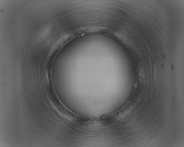X0000077410254200611032059