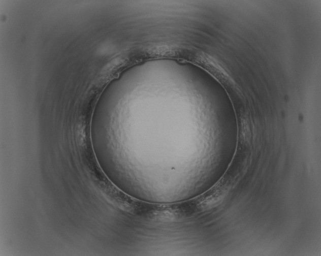 X0000077410259200611032059