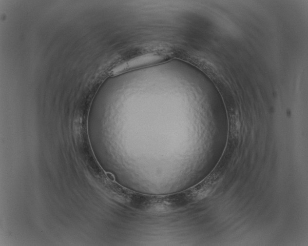 X0000077410263200611032059