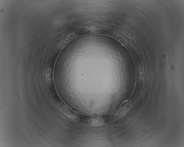 X0000077410275200611032059